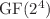 $\operatorname{GF}(2^{4})$